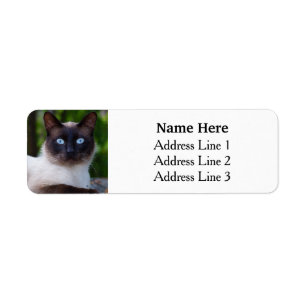 Siamese Cat with Blue Eyes Return Address Label