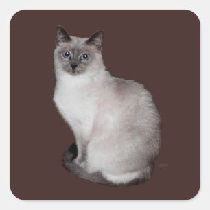 Siamese Cat with Blue Eyes Square Sticker