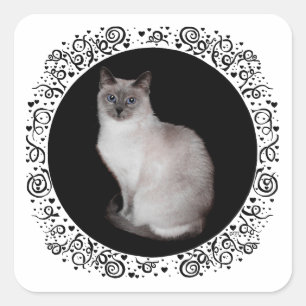 Siamese Cat with Blue Eyes Square Sticker