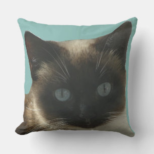 Siamese Cat with Bright Blue Eyes Pillow