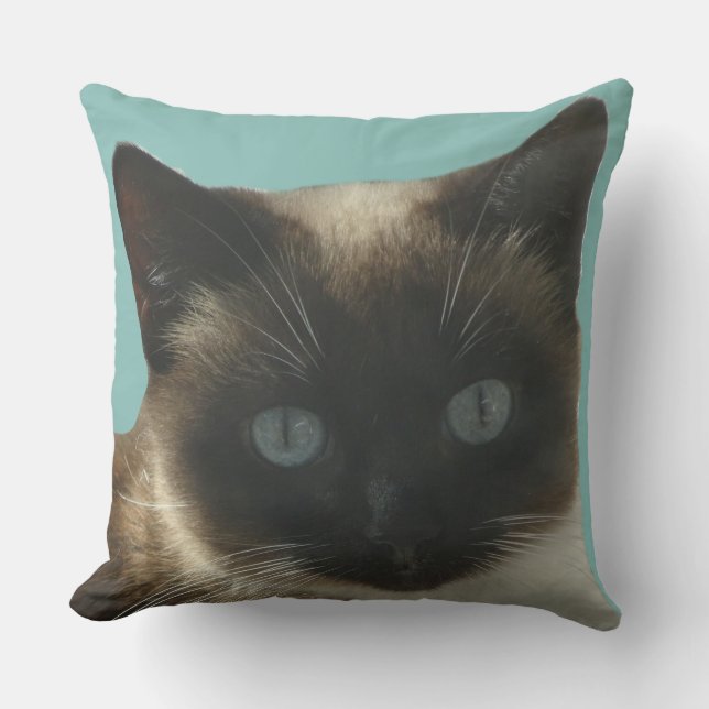 Siamese Cat with Bright Blue Eyes Pillow (Front)