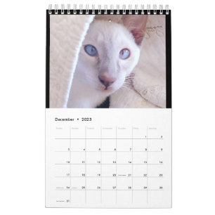 Siamese Cats Calendar