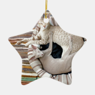 Siamese Cats Just Chillin! Ceramic Ornament
