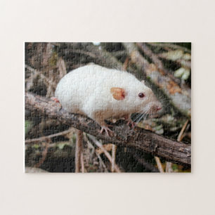 Siamese Dumbo Pet Rat in the woods Jigsaw Puzzle