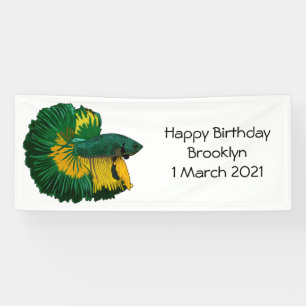 Siamese fighting fish cartoon illustration banner