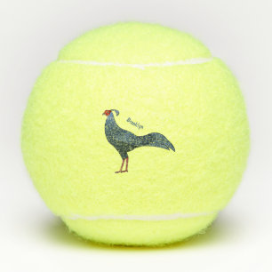 Siamese fireback bird cartoon illustration tennis balls