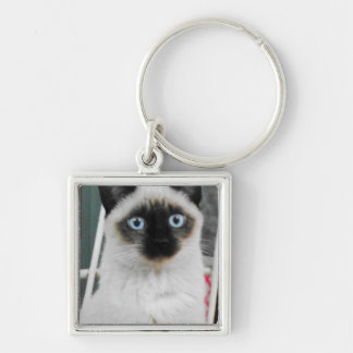 Siamese Key Ring