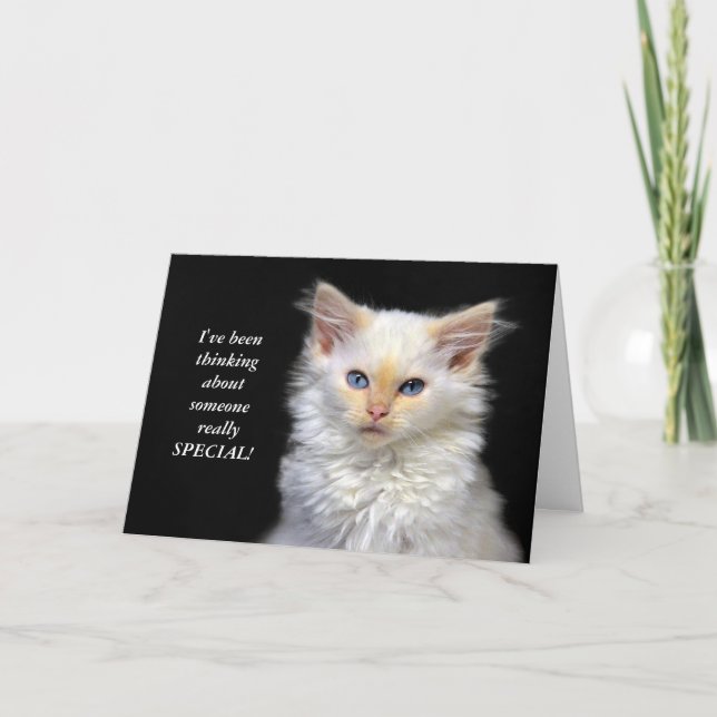 Siamese Kitten Birthday Humour Card (Front)