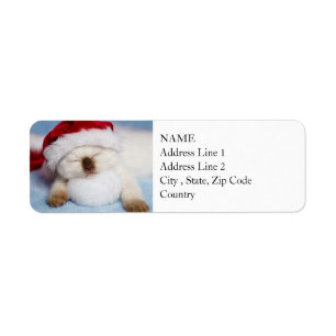 Siamese Kitten: Holiday Napping Return Address Label