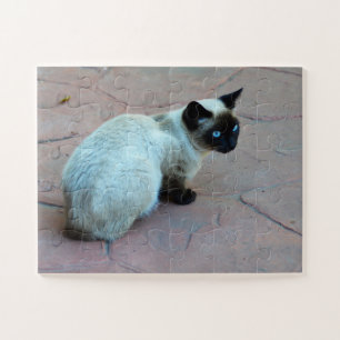 Siamese kitten jigsaw puzzle