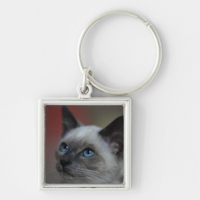 Siamese kitten key ring (Front)