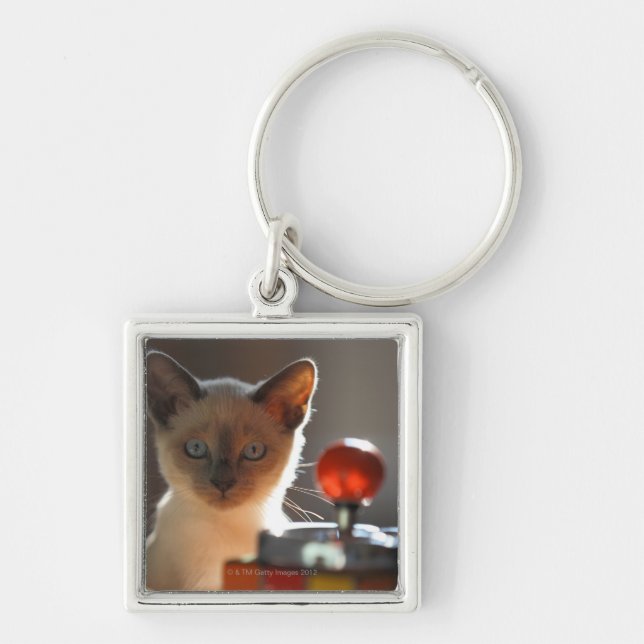 Siamese kitten key ring (Front)