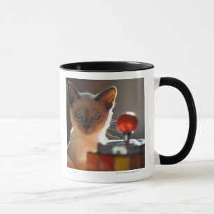 Siamese kitten mug