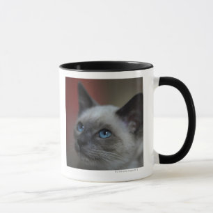 Siamese kitten mug