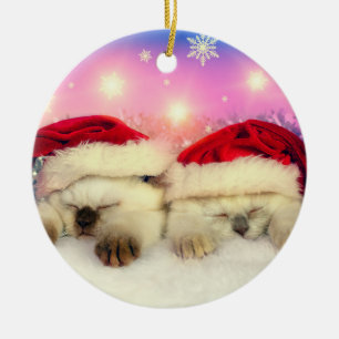 Siamese Kitten: Santa Twinsies Ceramic Tree Decoration