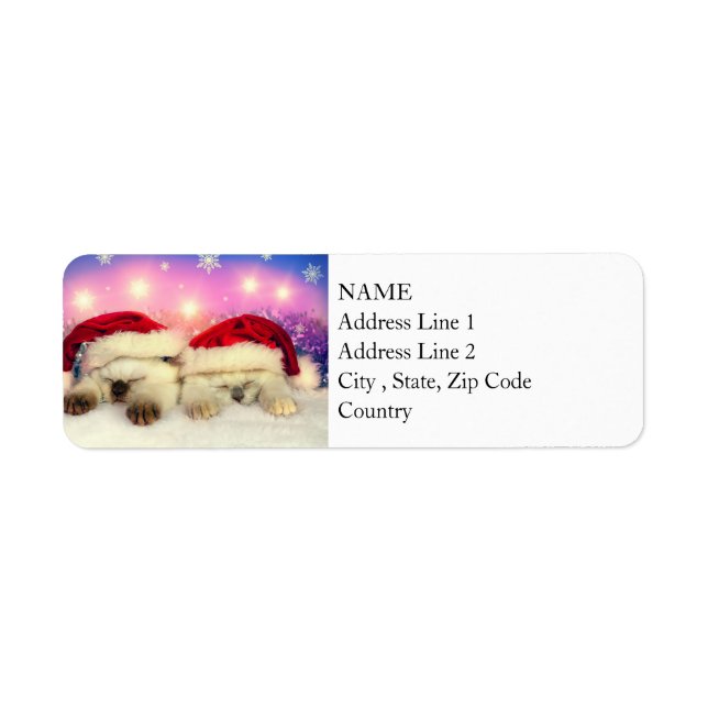Siamese Kitten: Santa Twinsies Return Address Label (Front)