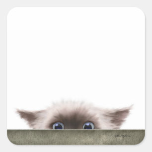 Siamese Kitten Stalking You Cartoon Square Sticker
