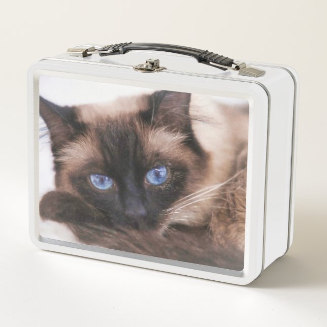 Siamese Kitten Sweetie Face Metal Lunch Box (Front)