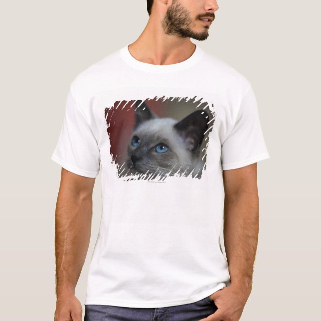 Siamese kitten T-Shirt (Front)