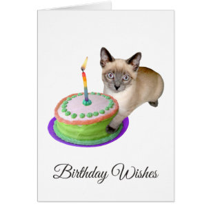Siamese Kitten with Cake Birthday Card