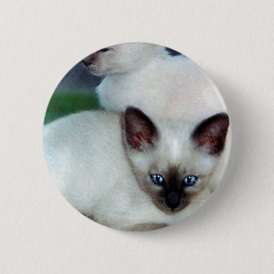 Siamese Kittens Button
