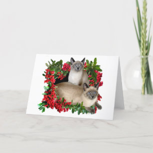Siamese Kittens in Berry Frame Holiday Card