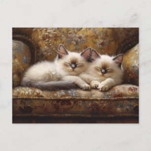 Siamese Kittens Napping Vintage Couch Postcard