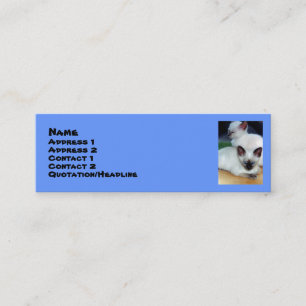 Siamese Kittens Profile Card
