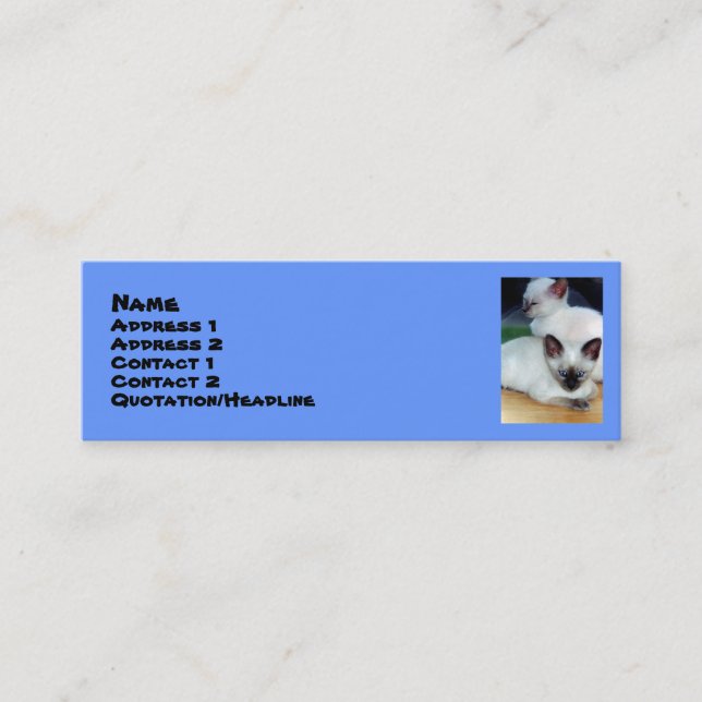 Siamese Kittens Profile Card (Front)