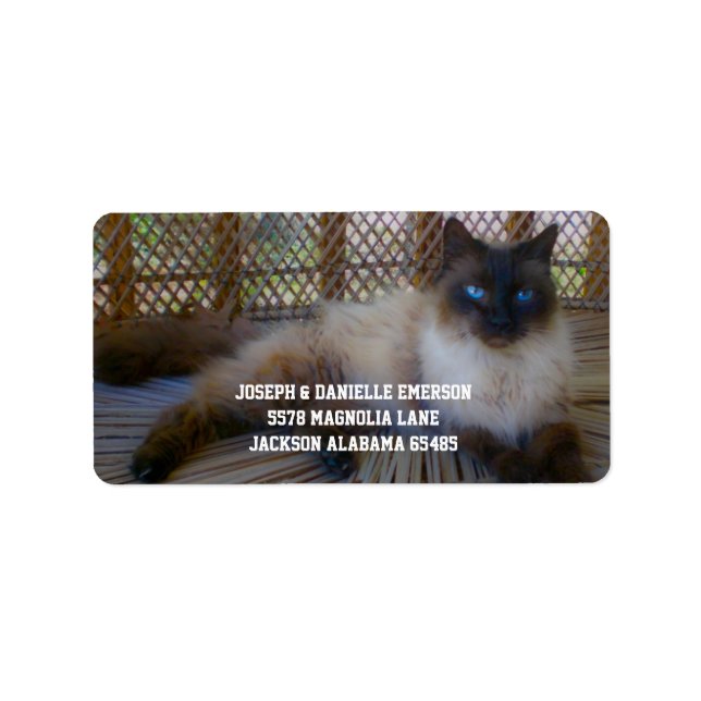 Siamese Kitty Address Labels (Front)