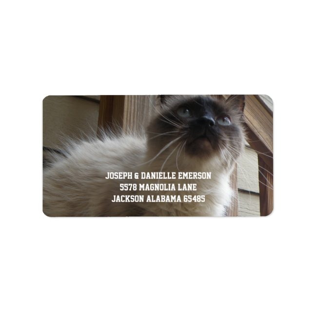 Siamese Kitty Address Labels (Front)
