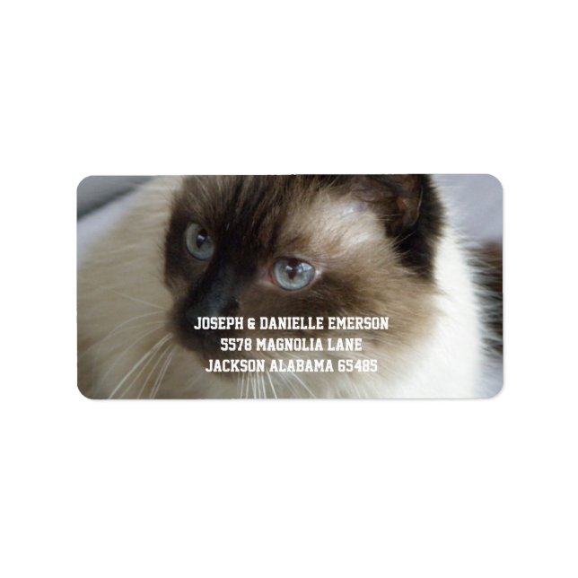Siamese Kitty Address Labels (Front)