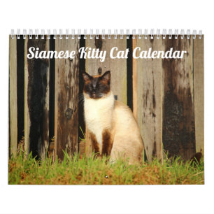 Siamese Kitty Cat Cute  2021 Calendar