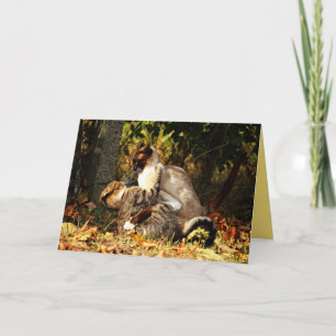 Siamese Kitty Cat Cute Customisable Card
