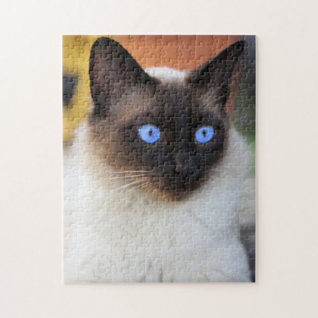 Siamese kitty cat with lovely big blue eyes jigsaw puzzle (Vertical)