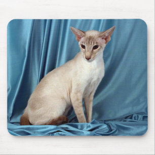 Siamese, lilac point mouse pad