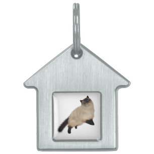 Siamese Long Hair Cat Pet ID Tag