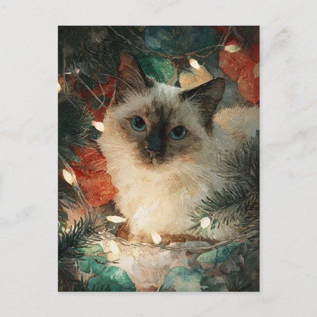 Siamese Point Cat Christmas Postcard (Front)