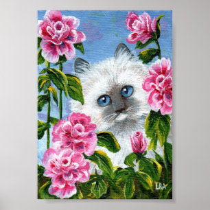 Siamese Ragdoll Cat Pink Roses Creationarts Poster