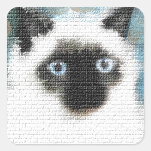 Siamese Square Sticker