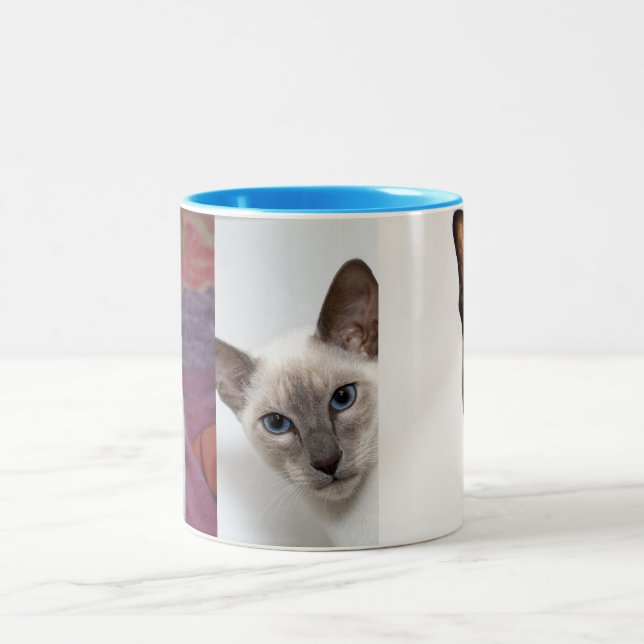 SIAMESE  Two-Tone COFFEE MUG (Center)