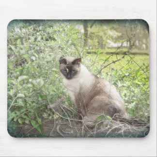 Siamese & Vines Mouse Pad