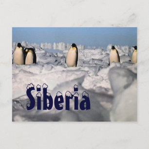 Siberia arctic winter postcard