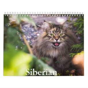 Siberian Cat Calendar
