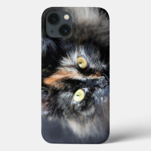 Siberian Cat iPhone 13 Case