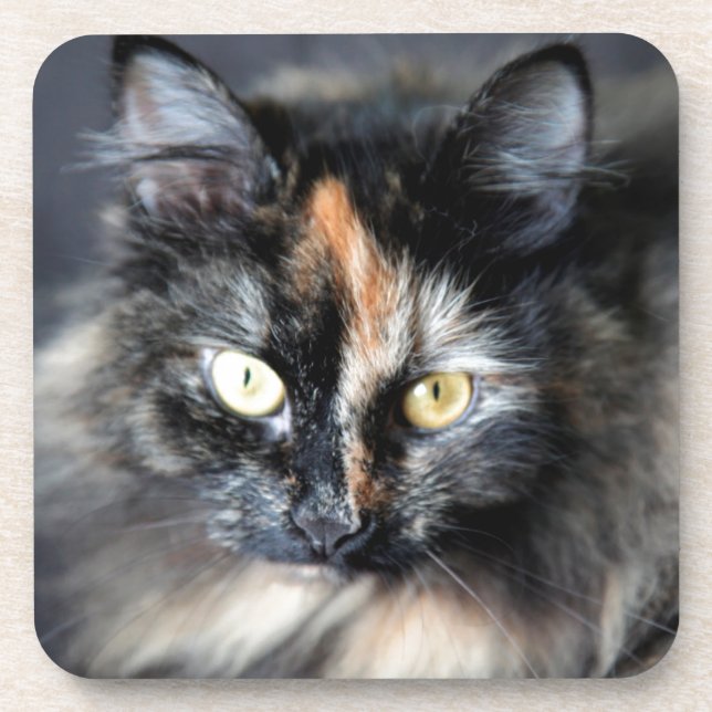 Siberian Cat Coaster (Front)