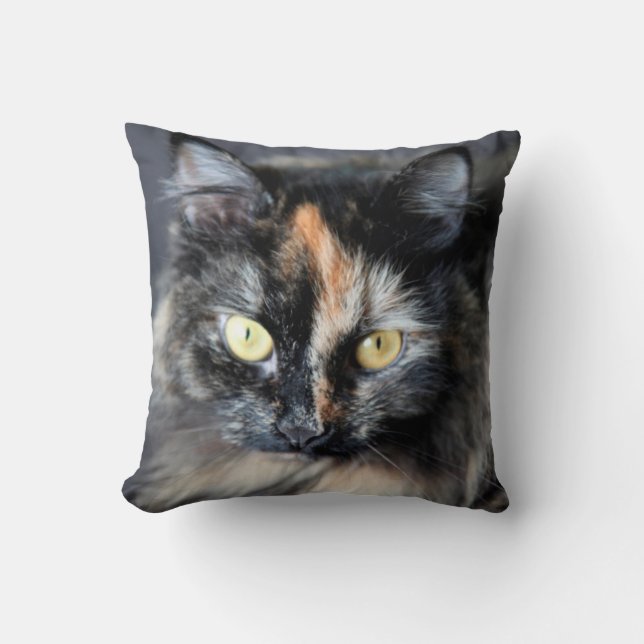 Siberian Cat Cushion (Front)