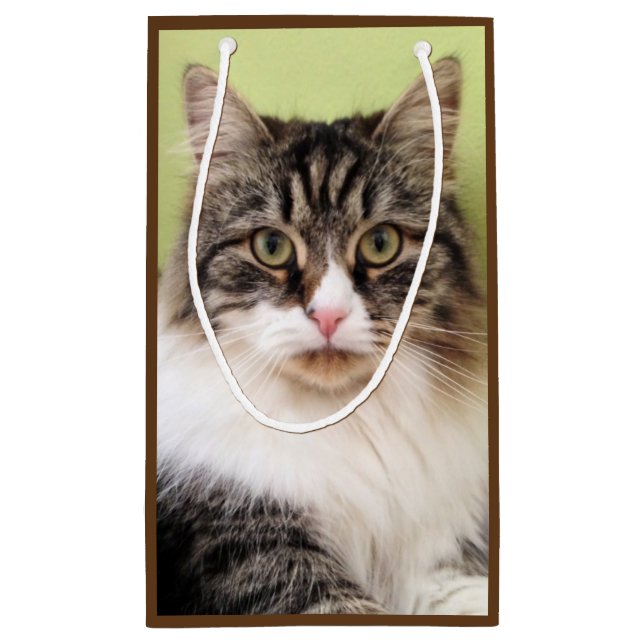 Siberian Cat Gift Bag (Back)