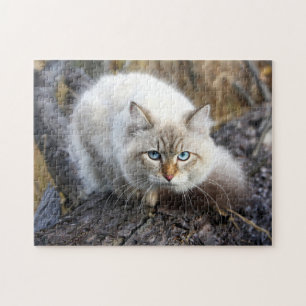 Siberian Cat In A Autumn Forest Jigsaw Puzzle