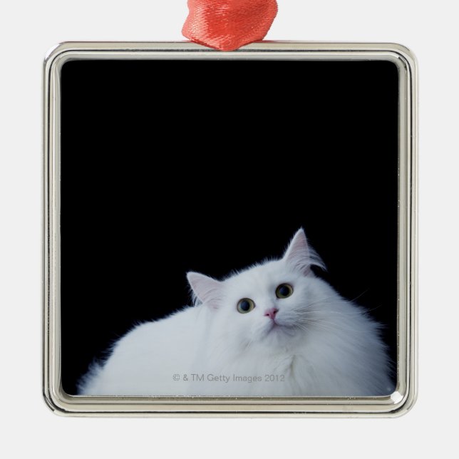 Siberian Cat Metal Tree Decoration (Front)